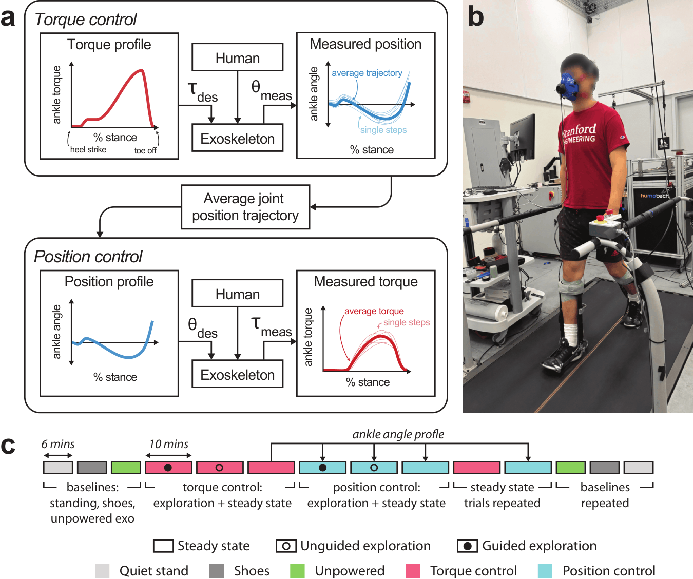 Methods overview figure